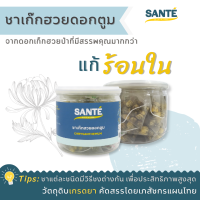 SANTÉ ซานเต้ ชาเก็กฮวยดอกตูม คัดพิเศษ Chrysanthemum เก๊กฮวยป่า แก้ร้อนใน