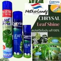 Chrysal Leaf shine คริสซอล สเปรย์ฉีดใบเงา ฉีดใบมัน เคลือบเงาใบไม้ ขนาด 250 มล 600 มล. และ 750 มล