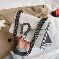 New Designer Luxury Shoulder Bags Women Chain Crossbody Bag 2022 Crocodile Texture Fashion Messenger Bag Handbag Leather Buckle