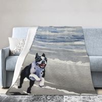 Ready Stock Boston Terrier At The Beach David Rogers Blanket Bedspread On The Bed Beach Sofa Bed For Winter