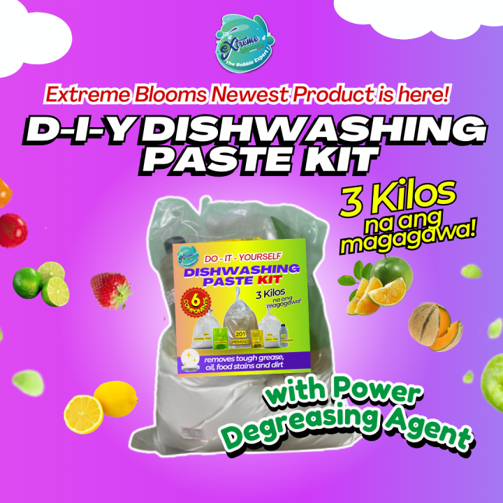 EXTREME DIY Dishwashing Paste Kit Lazada PH
