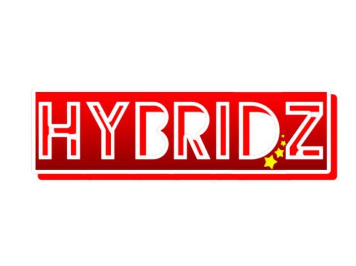 hybridz-by-hans-ลูกบล็อก-12-เหลี่ยม-รูตูด3-4-25-ไต้หวัน