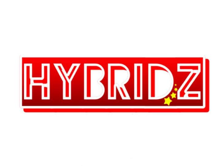 hybridz-by-hans-ลูกบล็อก-12-เหลี่ยม-รูตูด3-4-33-ไต้หวัน