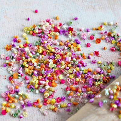 ☒ 200pcs Dried Flowers Head Dry Daisy Plants for Epoxy Resin Pendant Necklace Jewelry Making Craft DIY Nail Art Accessorie