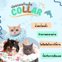 ปลอกคอ กันเลีย ผ้า สะท้อน น้ำ คอลลาร์ กันเลีย collar  เกรด Premium สำหรับสุนัขและแมว  เช็ดทำความสะอาดง่าย นุ่มนิ่ม เจ้านายถูกใจ ( Tonkla Petshop )