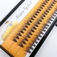 20D/30D Cluster Mink Eyelashes Extension Natural 3D False Eyelashes Single Cluster Eyelashes Makeup Personal Eyelashes