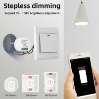 ✲▦◊ Tuya WiFi Smart LED Dimmer Switch App Remote Control Support Echo Google Home Tmall Genie Smart Dimmer Switch Light Module