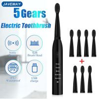 ✸▼ Electric Toothbrush Powerful Ultrasonic Sonic USB Charge Rechargeable Tooth Washable Electronic Whitening Timer Teeth Brush J110