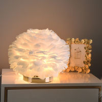 Modern Feather Table Lamp Bedroom Bedside Lighting Creative Romantic Girl Childrens Living Room Nordic Desk Study Decor Light