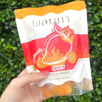 มะม่วงพริกเกลือ เกรดพรีเมียม Salt and Spicy Soft Dried Mango ผลไม้อบแห้งเกรดพรีเมียม