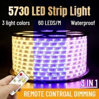 (มาถึงภายใน 72 ชั่วโมง)led strip light 220v ไฟเส้นกลางแจ้งกันน้ำ SMD 5730 144LEDs/M สามสี 3สีรีโมทคอนโทรล Dimming Super Bright ไฟสำหรับในร่มกลางแจ้ง10M/15M/20M/30M