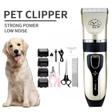 Trimmer hotsell golden retriever