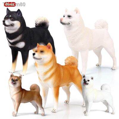 🎁 ของขวัญ Solid จำลองสัตว์ Wang Xingren ขนาดใหญ่ Shiba Inu Akita Dog รุ่น Ornament Pet ของเล่นเครื่องประดับ