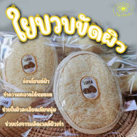 ใยบวบขัดตัว (ใหญ่) ใยบวบธรรมชาติ Saibua ใยบวบขัดผิว สครับผิว ฟองน้ำขัดตัว ขัดผิว ขัดตัว ใยบวบแบบธรรมชาติ อุปกรณ์อาบน้ำ