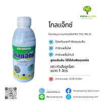 โกลแจ็กซ์ (1ลิตร) อะบาเมกติน 1.8% สูตรเข้มข้น ใช้ได้กับพืชทุกชนิด ป้องกันและกำจัดหนอนคืบ กำจัดเพลี้ยไฟ กำจัดเพลี้ยไก่แจ้