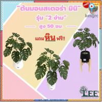 ( สินค้าใหม่ ) ต้นมอนสเตอร่า รุ่น "2 ง่าม มินิ" สูง 50 ซม. ต้นไม้ปลอมตกแต่งบ้าน Leeartplants flashsale ลดกระหน่ำ