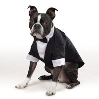 Dog Tuxedo Suit Costume Pet Cat Dog Wedding Birthday Party Formal Shirt with Bow Tie for Puppy Small Medium Dogs Costume Clothes