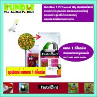 คุ้มสุดๆ NutriBird P19 Tropical 1Kg (ถุงฟอยล์แบ่ง) อาหารสำเร็จรูปอัดเม็ด สำหรับนกปากขอใหญ่ และนกแก้ว สูตรใช้ช่วงผสมพันธุ์ ราคาถูก อาหารนกแก้ว อาหารตระกูลนกแก้ว อาหารนกแก้วพันธุ์ใหญ่  อาหารนกแก้วมาคอว์