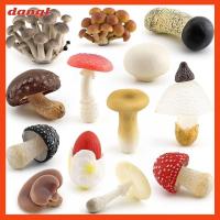 DANGL ดีไอวาย รูปปั้นเห็ดจำลอง สวนนางฟ้า หลากสี Lentinus edodes matsuttake Amanita ของขวัญสำหรับเด็ก ของเล่นสอนเด็ก เชื้อราขนาดเล็ก สากลสากลสากล