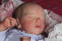 48CM NewBorn Baby Doll Reborn Sam Lifelike 3D Painted Skin with Visible Veins Multiple Layers Collectible Art Doll