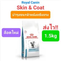 Royal Canin Skin &amp; Coat 1.5kg อาหารแมว บำรุงเส้นขนและผิวหนัง แมวผิวหนังแพ้ง่าย ขนาด 1.5 กิโลกรัม