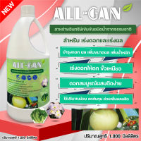 ปุ๋ยน้ำพืชทางใบดอกและผล 1000ML.เร่งดอกเพิ่มการติดดอกแตกตาดอกผสมเกสร ALL GAN สาหร่ายอินทรีย์เข้มข้นดอกดกขั้วเหนียวดอกสมบูรณ์จากธรรมชาติ100%