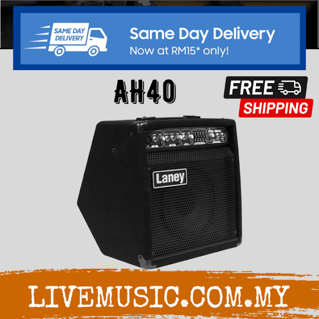 Laney AH40 Audiohub Combo 40 Watt for Keyboard, Vocal and Acoustic