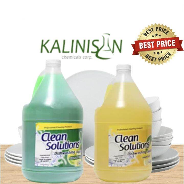 BEST PRICE 100 Original Clean Solutions Concentrated 1 GALLON