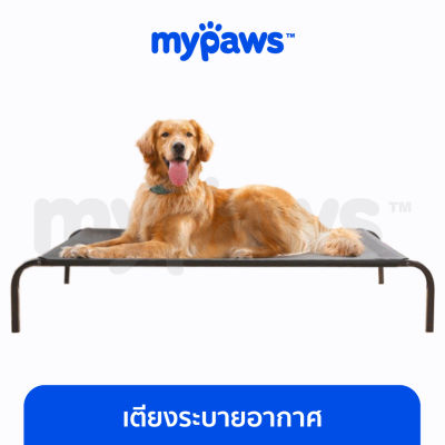 My Paws เตียงระบายอากาศ สำหรับสุนัข เตียงสุนัข M,L,XL ที่นอนสุนัข แบบยกสูง ผ้าตาข่ายเสริม