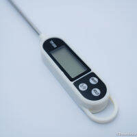 เทอร์โมมิเตอร์แบบปากกา (Pen-style Digital Thermometer)