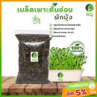 เมล็ดผักบุ้ง - Organic * 300 กรัม / 500 กรัม / 1000 กรัม * ( Morning Glory Seeds Organic 300 g. / 500 g. / 1000 g. ) GREENHUG เมล็ดต้นอ่อน