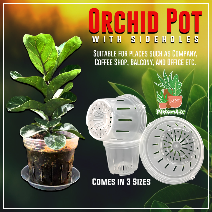 Orchid Pot Clear Transparent Plant Net Pot for Aroids and Orchids