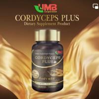 ถั่งเช่าพลัส ถั่งเช่าสกัด (จำนวน 1 กระปุก/30เม็ด) Cordyceps Plus