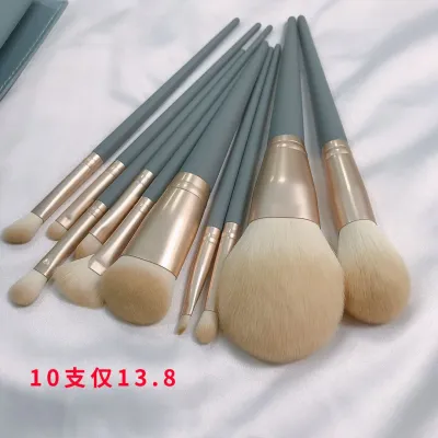 High-end Original 10pcs Makeup Brush Set Full Set Super Soft Professional Eyeshadow Highlight Cangzhou Genuine Student Fair Price Storage Bag
