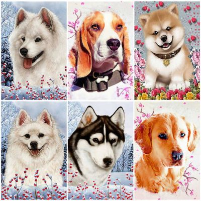 AZQSD Unframe DIY Oil Painting By Numbers Set Animal Home Decoration Coloring By Numbers Kits Dog Acrylic Paint Unique Gift
