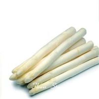 10 เมล็ดพันธุ์ หน่อไม้ฝรั่ง White Asparagus Seeds มีคู่มือพร้อมปลูก อัตรางอก 80-85%