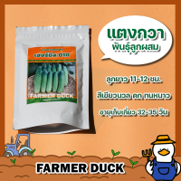 แตงกวา เฮอร์มีส 010 F1 เมล็ดแตงกวา เมล็ดพันธุ์แตงกวา ลูกผสม ผลยาว 11-12 ซม. ปลูกง่าย ทนหนาว ติดผลดก เสีเขียวนวล โฮมซีดส์ บรรจุ 50/100 กรัม