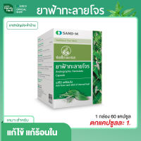 Handyherb (ช่อมะกอกเขียว) ฟ้าทะลายโจร (1 กล่อง 60 แคปซูล) แก้ไข้ แก้ร้อนใน