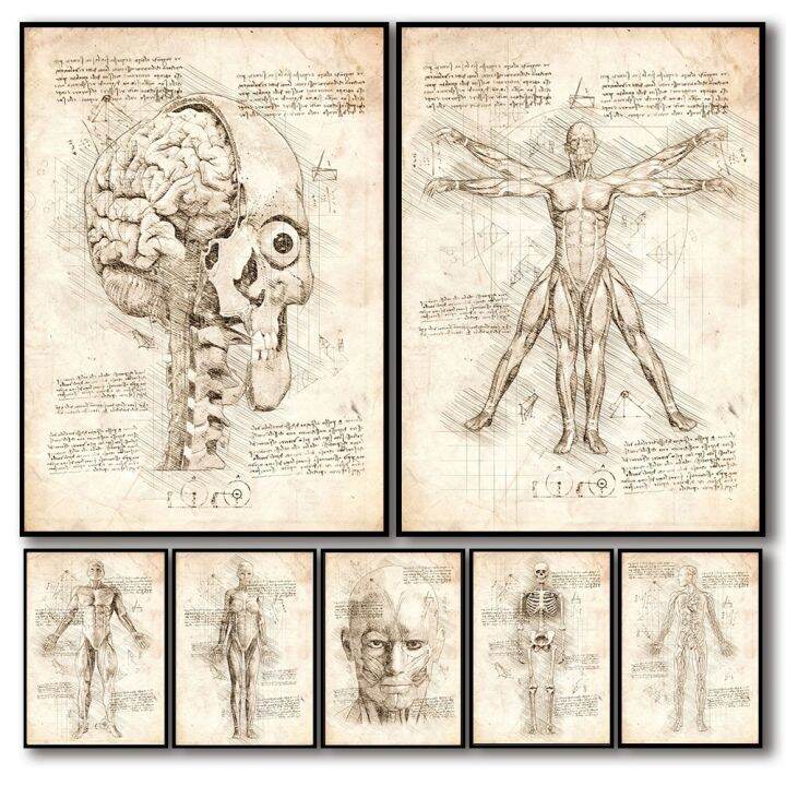 Vintage Sketch Anatomy Physiology The Body Structure Poster Skeleton ...