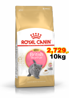 Royal canin british shorthair kitten 10kg ลูกแมว พันธุ์บริติช ชอร์ตแฮร์ Exp.08/2024