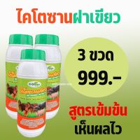 O-Green โอ-กรีน ไคโตซานสัตว์ ไคโตซานฝาเขียว สูตรเข้มข้น เร่งผลผลิต ลดต้นทุน เพิ่มประสิทธิภาพ ทวีคูณ 3 ขวด