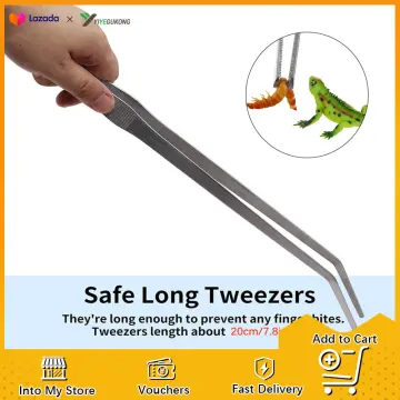 2pcs Stainless Steel Straight and Curved Nippers Tweezers Feeding Tongs for  Reptile Snakes Lizards Spider (Silver)
