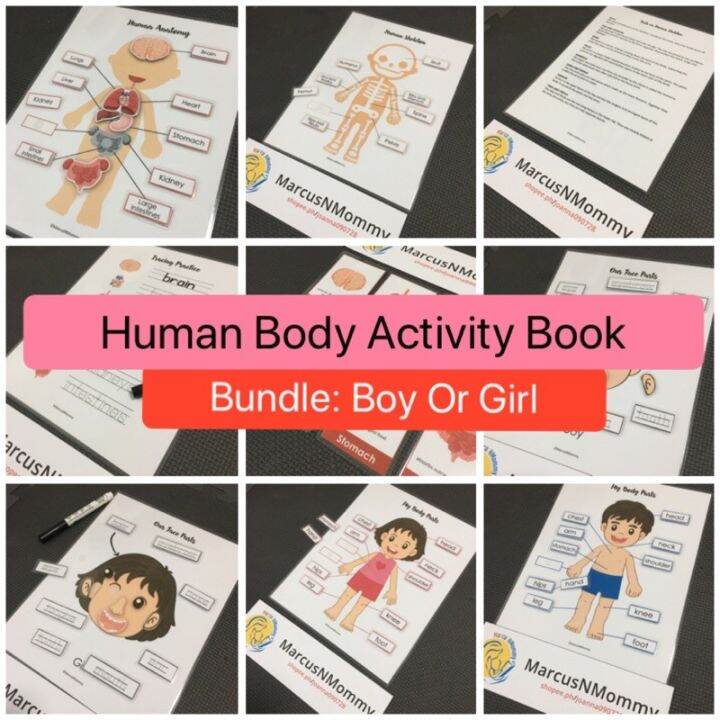 Body Parts Educational Workbook | Lazada PH