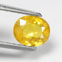 1.30 ct บุษราคัม (Yellow Sapphire) ทรงไข่ บางกะจะ