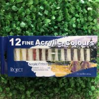 สีอครีลิค Acrylic Color และสีน้ำ Water colour 12 สี Project