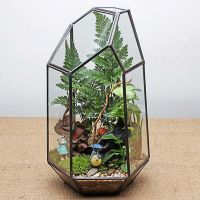 2X House Greenhouse Hexagonal Glass Vase for Fee Garden Miniature Mini Landscape