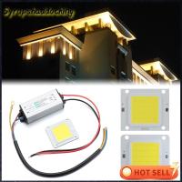 SYRUPSHADDOCKING DIY สปอตไลท์สปอตไลท์ สำหรับโคมไฟหลอดน้ำท่วม AC 85-265V ชิปซัง LED แหล่งกำเนิดแสง พร้อมไดร์เวอร์พาวเวอร์ซัพพลาย 10W 20W 30W 50W 70W 100W