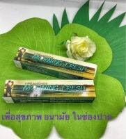 ยาสีฟัน ชาร์โคล Morning Fresh ผลิตภัณฑ์ยาสีฟันเพื่อการดูแลสุขอนามัยในช่องปาก มอร์นิ่ง เฟรช *1หลอด