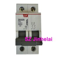 BK63N 2P New Original C D type Circuit 1A 4A 6A 10A 16A 20A 25A 32A 40A 50A 60A (substitute BKN) Air Switches 【hot】