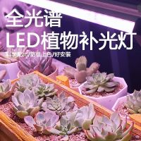 ✨ โปรโมชั่นส่วนลด ✨ การสังเคราะห์ด้วยแสง LED ไฟการเจริญเติบโตของพืชไฟเติมเนื้อเต็มสเปกตรัม dayuan